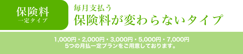 保険料一定タイプ